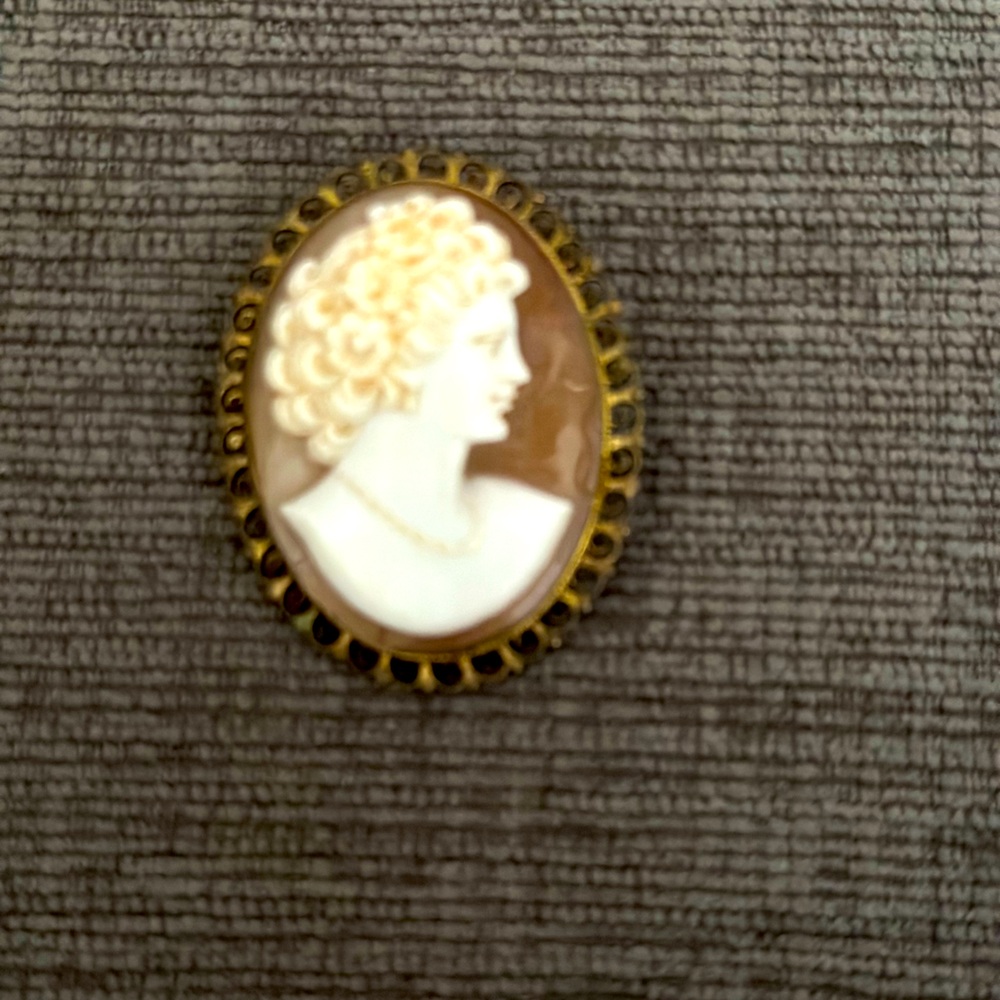 Vintage Cameo Broach